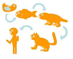 計算知能最適化のイメージ